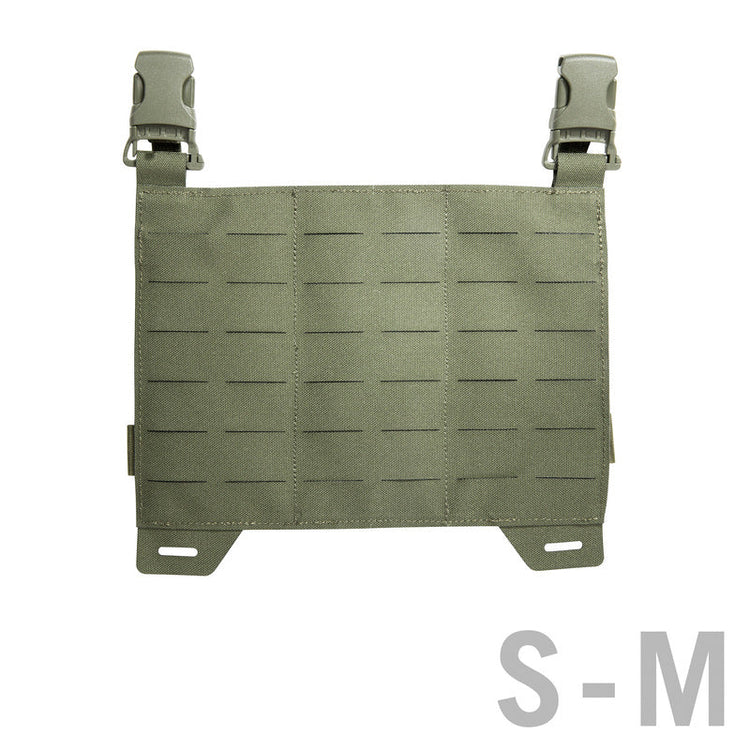 What is the MOLLE system
