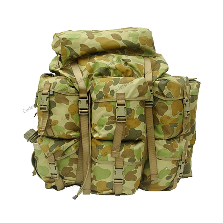 ALICE Pack Systems