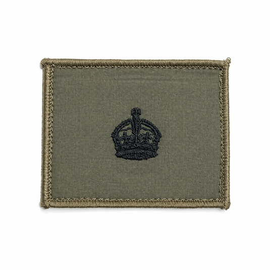 Rank Insignia AMCU Rank Patch TBAS Field Rank Patch