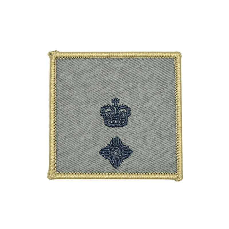 Load image into Gallery viewer, Military Rank Identification Marker Patch OD
