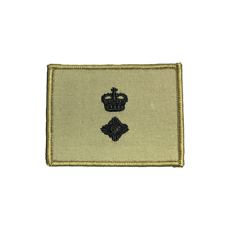 Load image into Gallery viewer, Rank Insignia AMCU Rank Patch TBAS Field Rank Patch - Cadetshop
