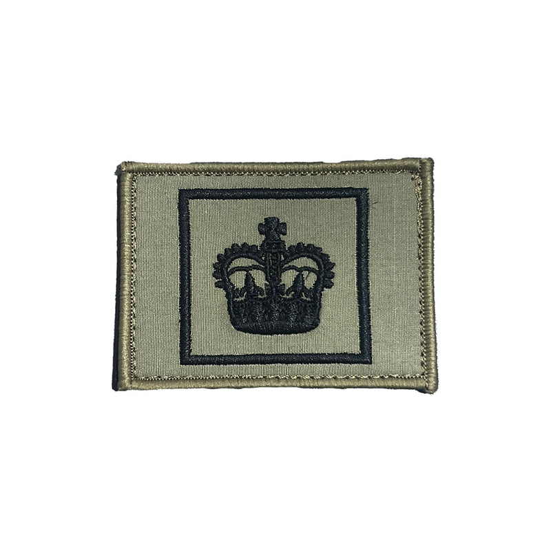 Load image into Gallery viewer, Rank Insignia AMCU Rank Patch TBAS Field Rank Patch - Cadetshop
