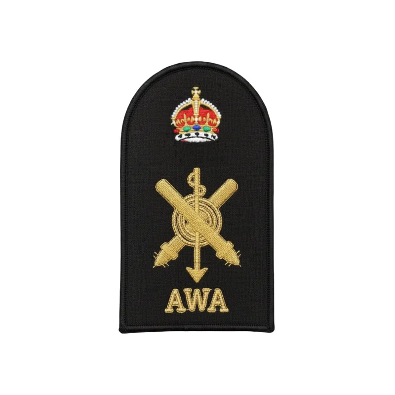 Load image into Gallery viewer, Acoustic Warfare Analyst Category Badge
