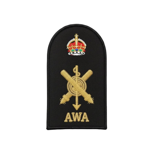 Acoustic Warfare Analyst Category Badge