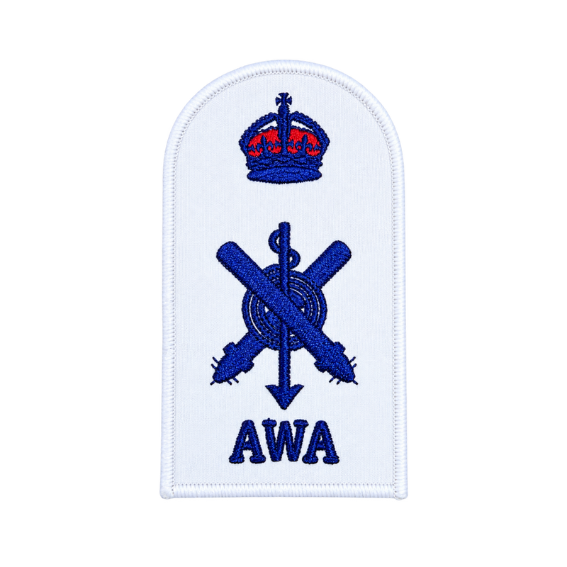 Load image into Gallery viewer, Acoustic Warfare Analyst Category Badge

