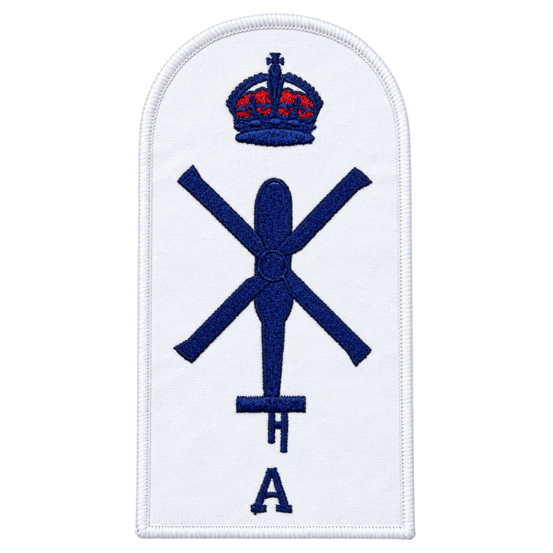 Load image into Gallery viewer, Aviation Technician Aircraft Category Badge
