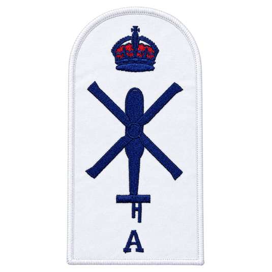 Aviation Technician Aircraft Category Badge