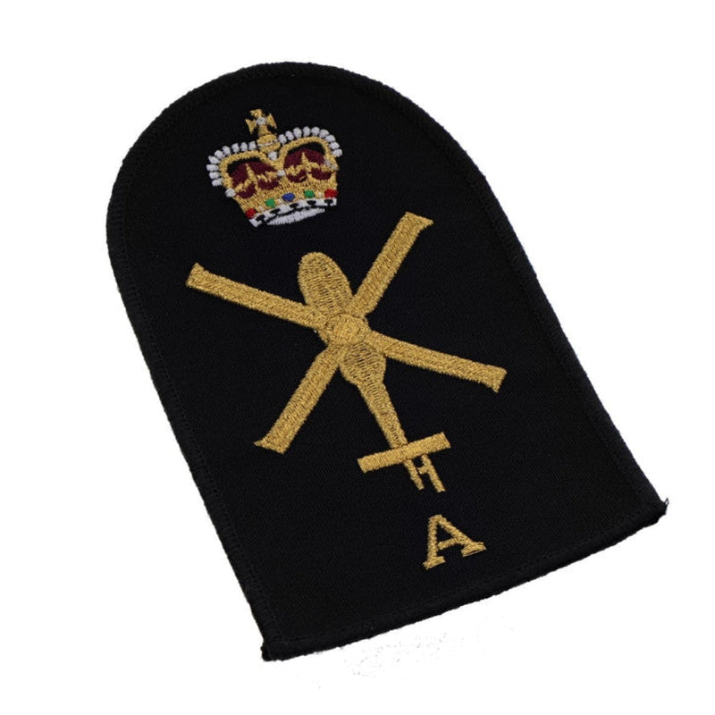 Load image into Gallery viewer, Aviation Technician Aircraft Category Badge - Cadetshop
