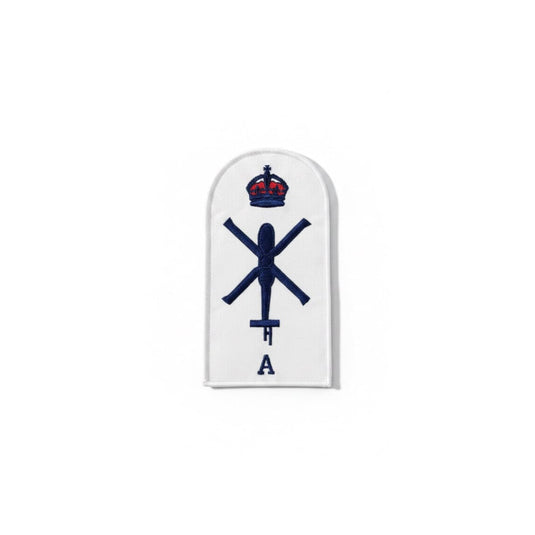 Aviation Technician Aircraft Category Badge