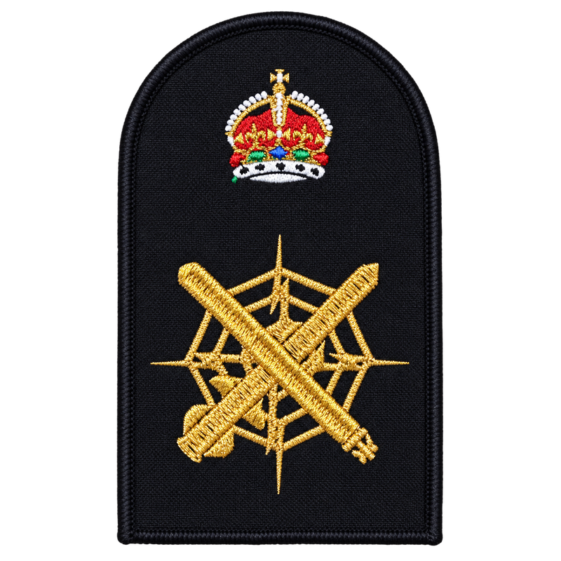 Load image into Gallery viewer, Combat Systems Operator Category Badge
