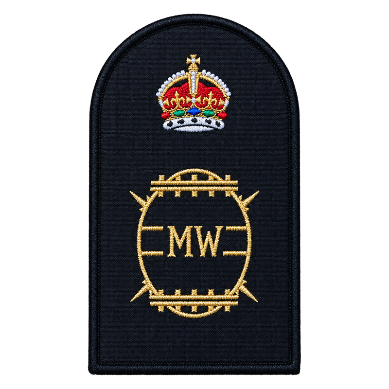 Load image into Gallery viewer, Combat Systems Operator Mine Warfare Category Badge
