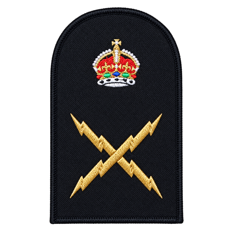 Load image into Gallery viewer, Electronic Technician Category Badge - Cadetshop

