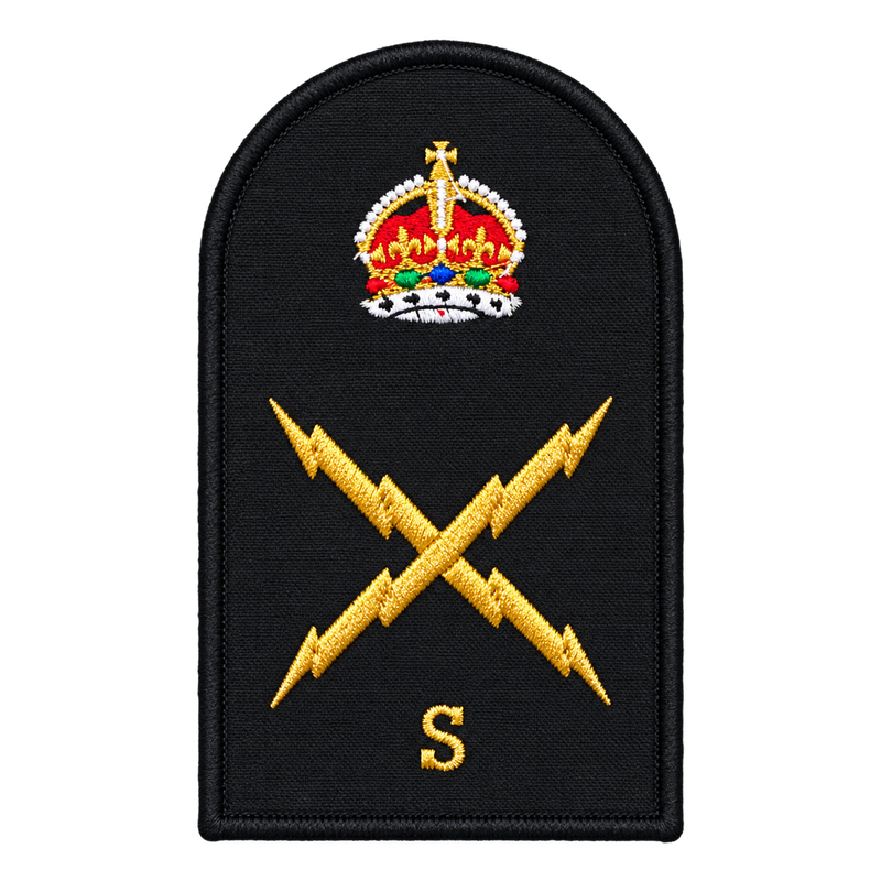 Load image into Gallery viewer, Electronic Technician Systems Category Badge - Cadetshop
