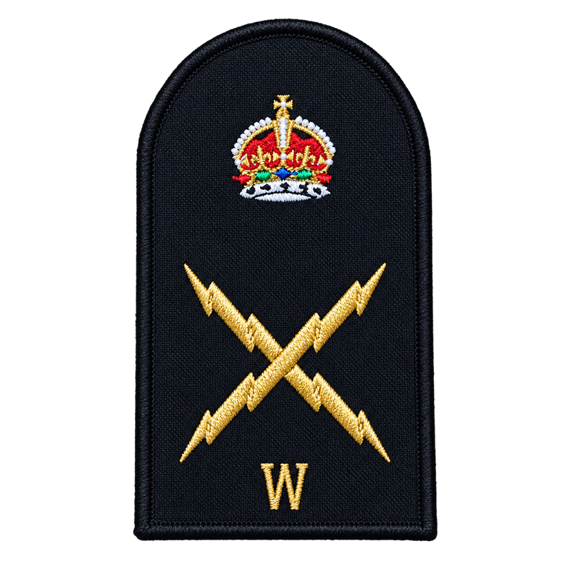 Load image into Gallery viewer, Electronic Technician Weapons Category Badge - Cadetshop
