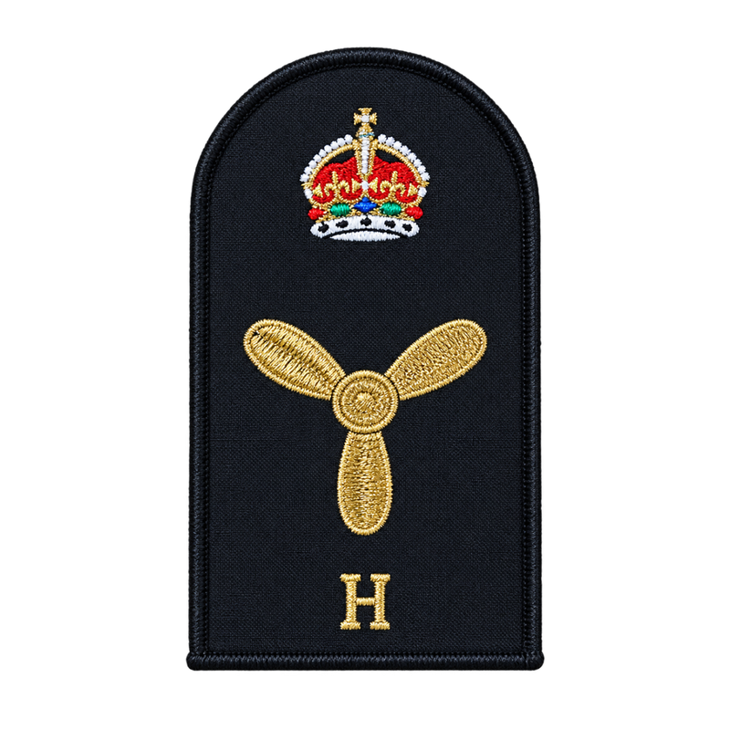 Load image into Gallery viewer, Marine Technical Hull Category Badge - Cadetshop

