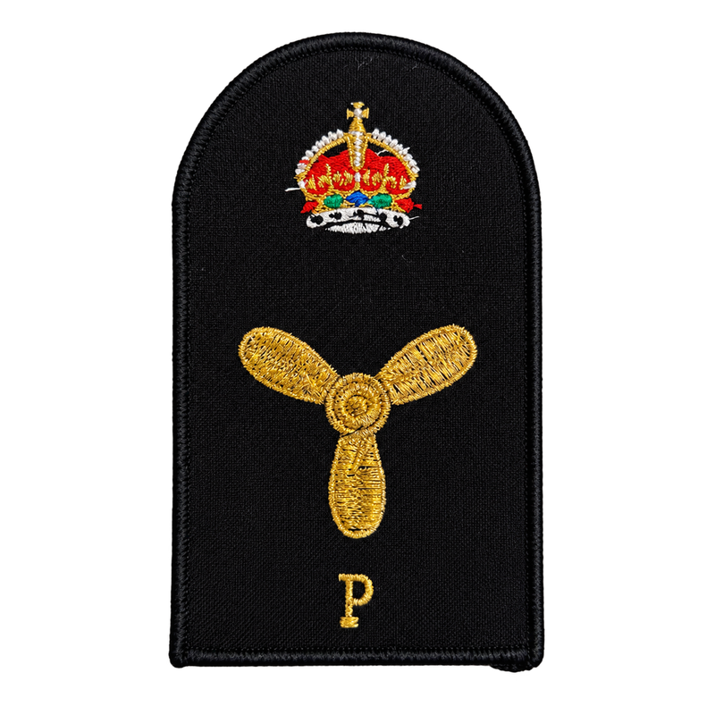 Load image into Gallery viewer, Marine Technical Propulsion Category Badge - Cadetshop
