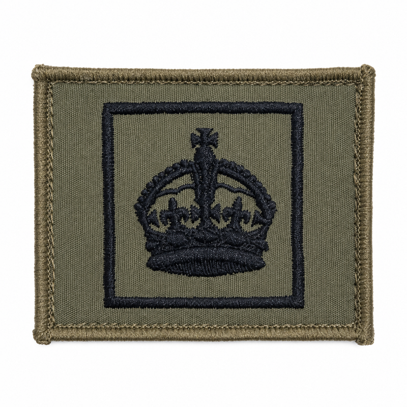 Load image into Gallery viewer, Rank Insignia AMCU Rank Patch TBAS Field Rank Patch - Cadetshop
