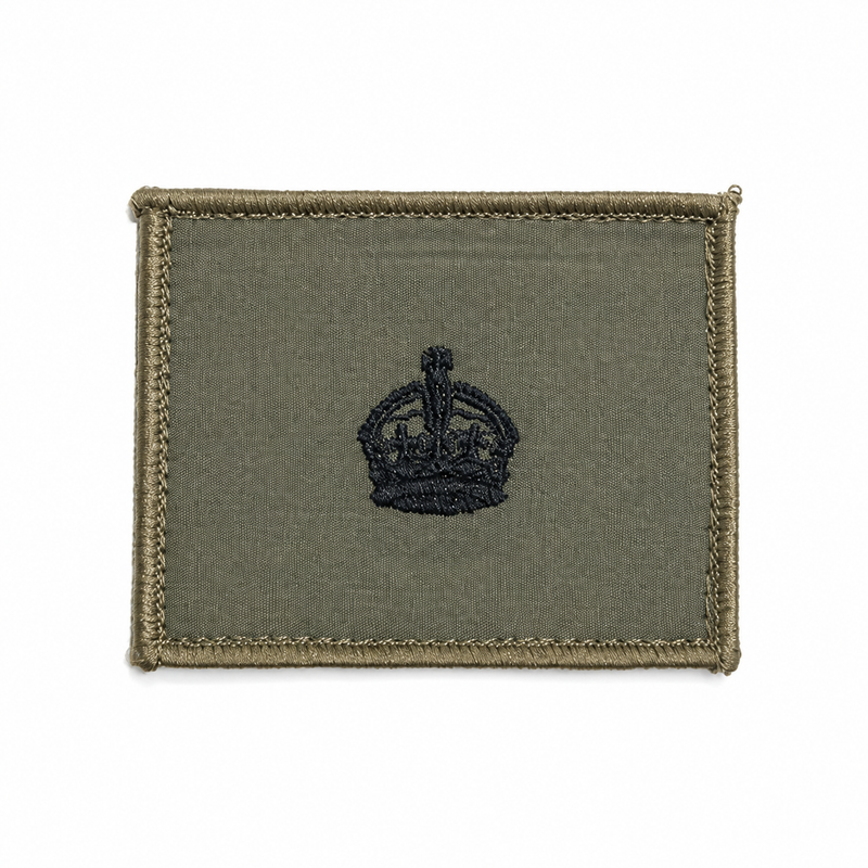 Load image into Gallery viewer, Rank Insignia AMCU Rank Patch TBAS Field Rank Patch - Cadetshop
