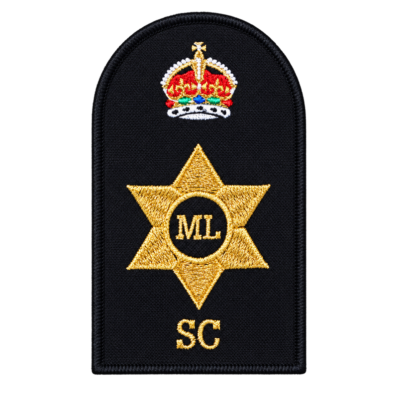 Load image into Gallery viewer, Supply Chain Category Badge - Cadetshop
